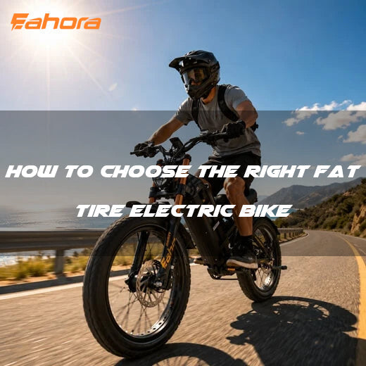 How to Choose the Right Fat Tire Electric Bike in Europe