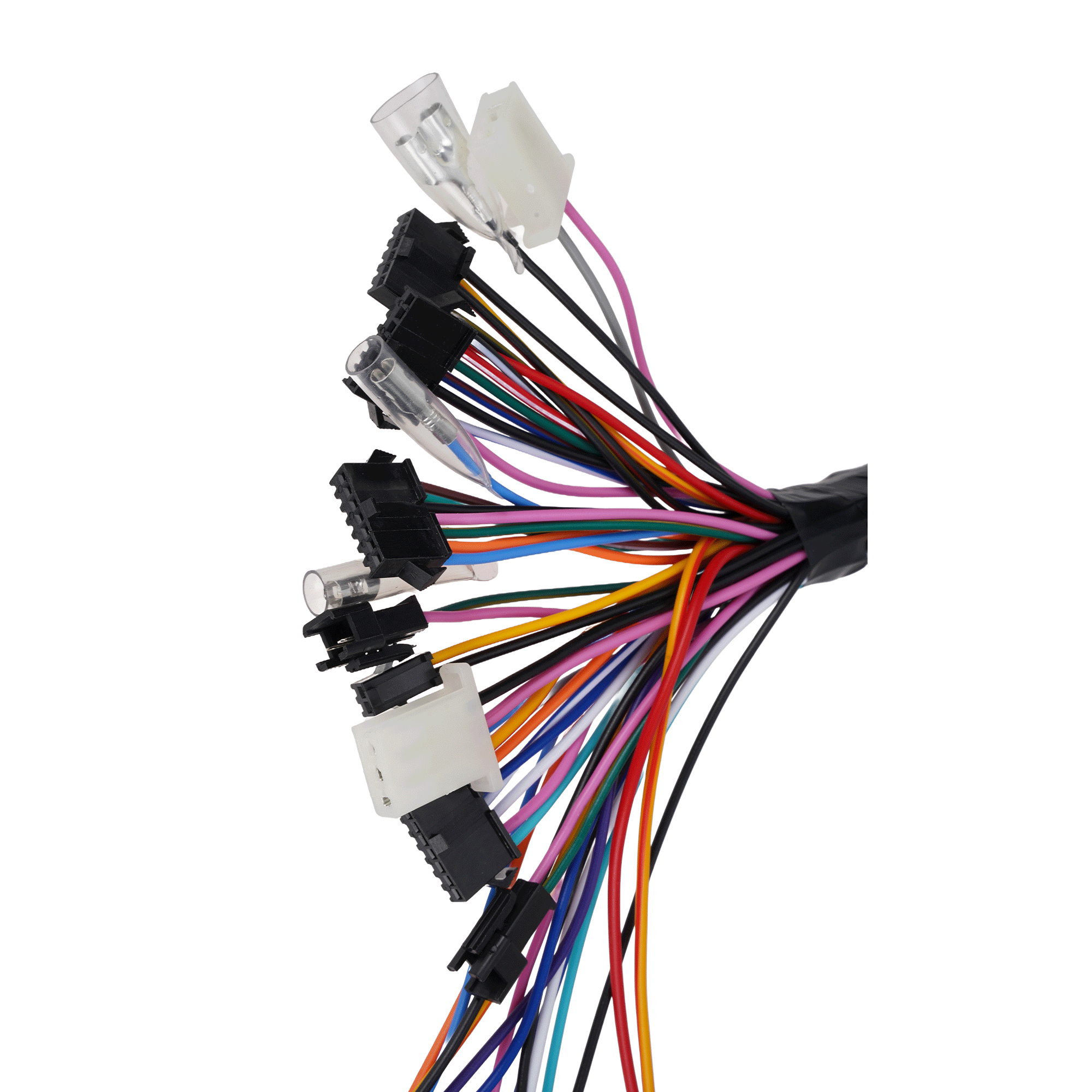 M1P Wiring Harness